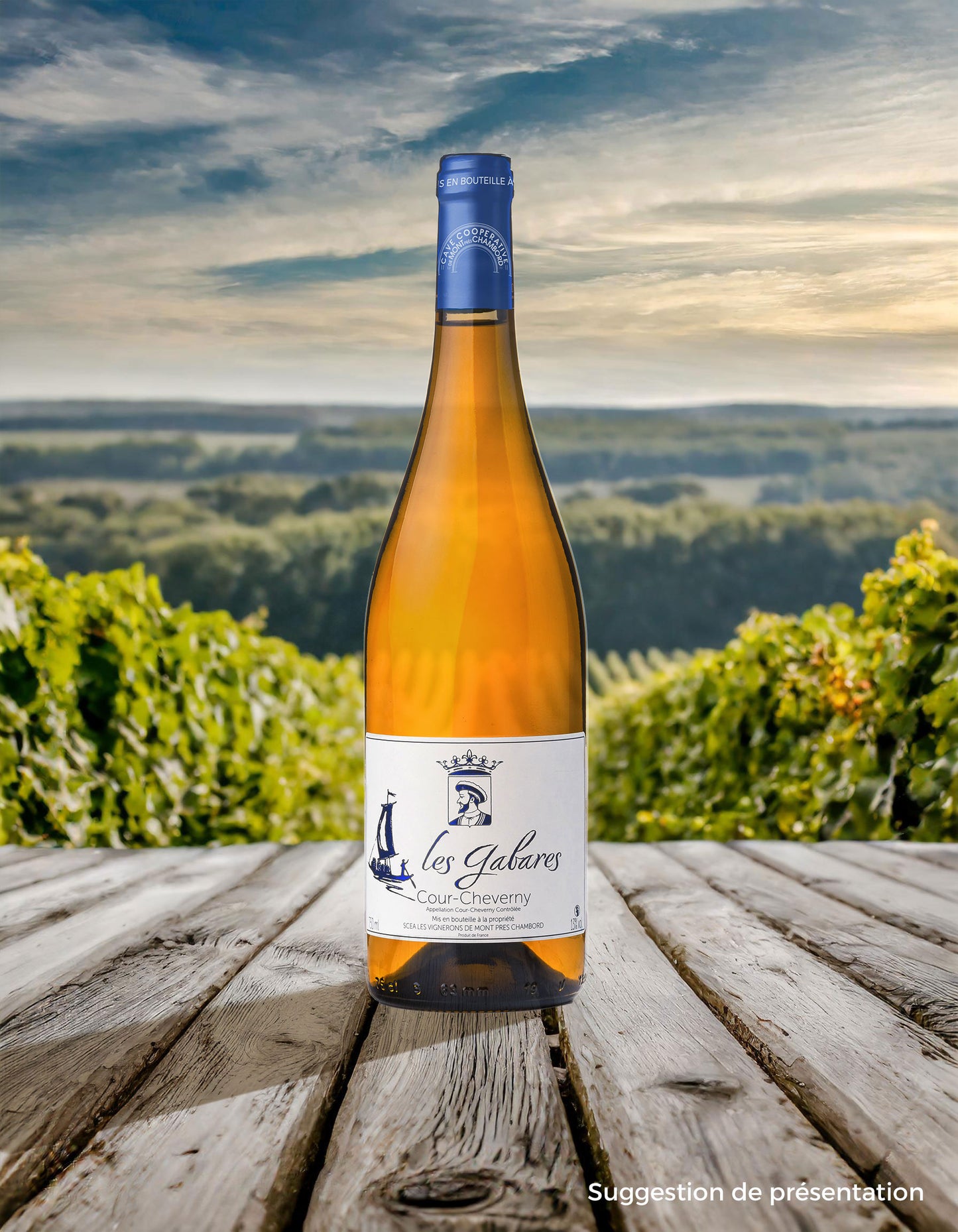 Bouteille de vin AOC Cour-Cheverny Blanc "Les Gabares" - En vente sur la boutique en ligne deLa Cave Coopérative des Vignerons de Mont-Pres-Chambord