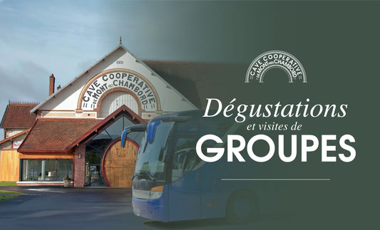 Accueil de bus, groupes et organisation de visites et de dégustations | cave coopérative des Vignerons de Mont-Près-Chambord