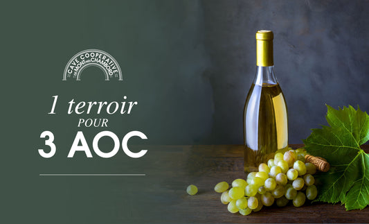 un terroir trois aoc, une bouteille de vin blanc et une grappe de raisins blancs posés sur une table en bois